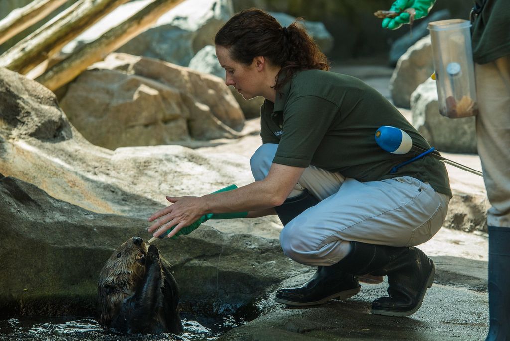 Minnesota Zoo Foundation Beastly Bash Weekend